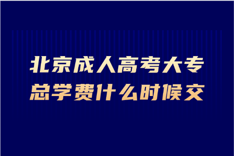 北京成人高考