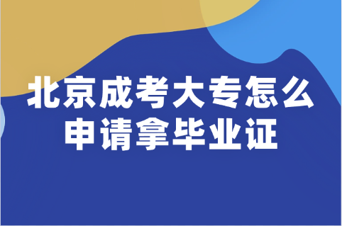 北京成考