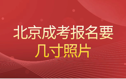 北京成考