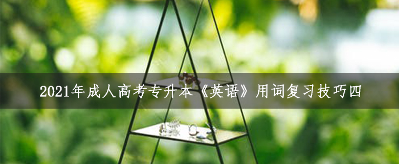 2021年成人高考專升本《英語(yǔ)》用詞復(fù)習(xí)技巧四