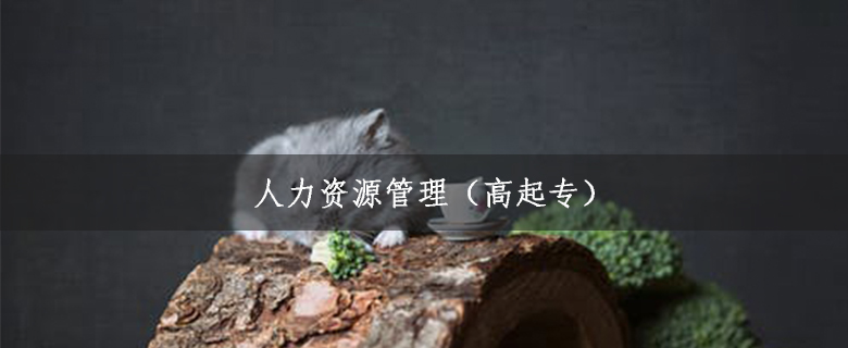 人力資源管理（高起專）